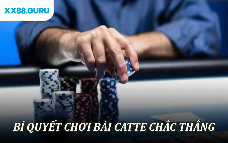 Bí quyết chơi bài Catte chắc thắng dành cho tân binh