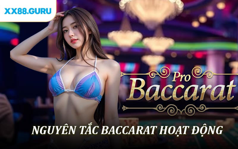 Nguyên tắc Baccarat hoạt động